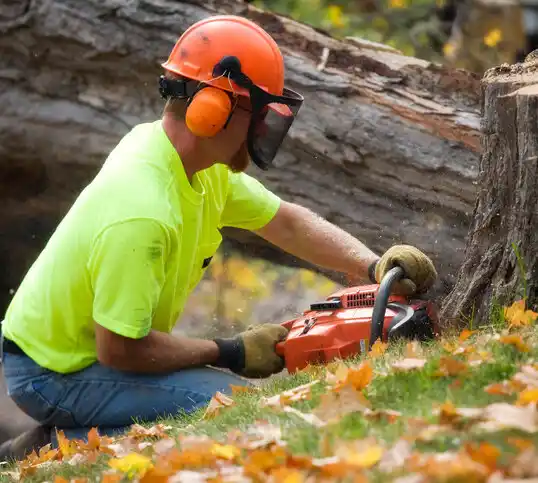 tree services Tompkinsville